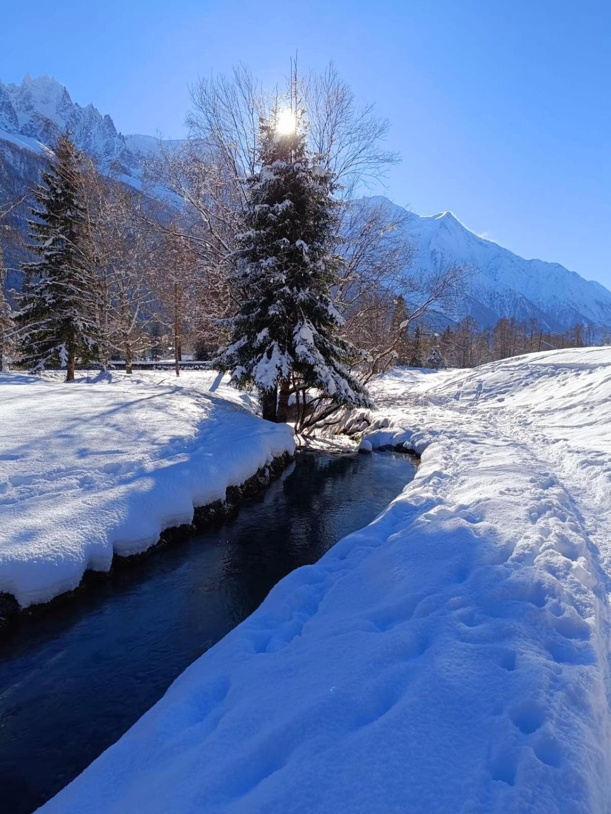 Appartement Chamonix Montblanc 1 A 4 Personnes Kültér fotó