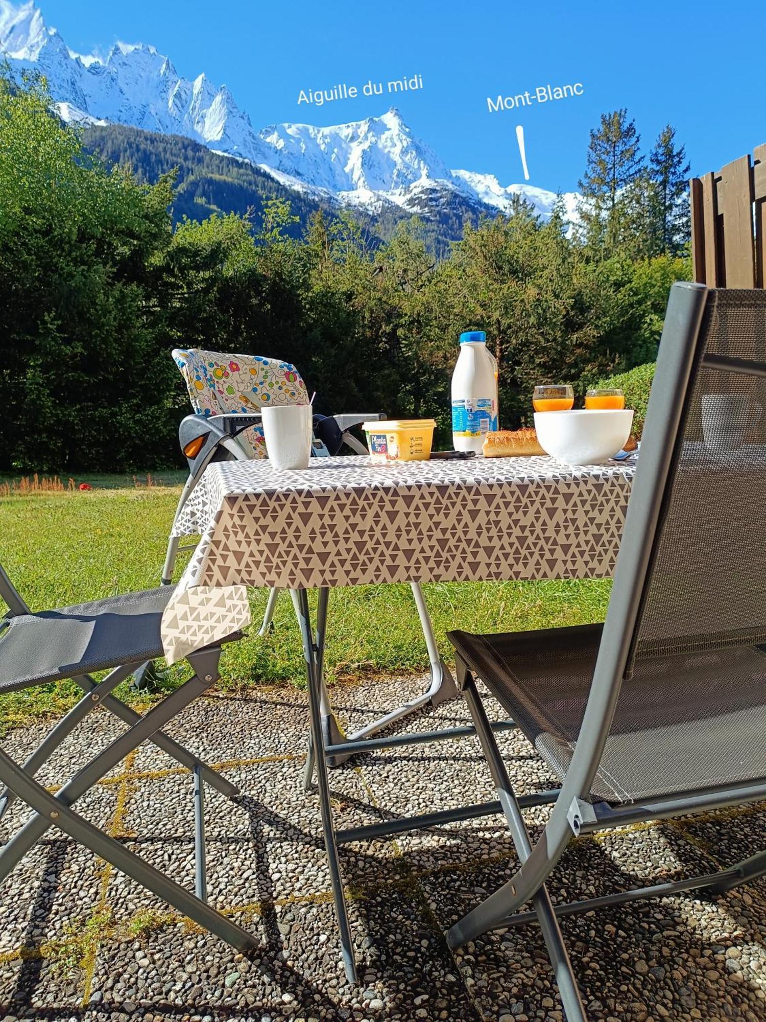 Appartement Chamonix Montblanc 1 A 4 Personnes Kültér fotó